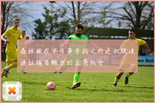 森林狼在字母争夺战之外还积极追逐拉梅洛鲍尔的交易机会